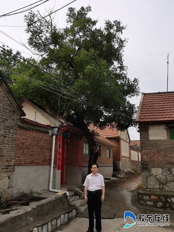 作者在百年老宅和老槐树前留念。