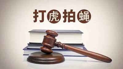 充分发挥审计在反腐治乱方面的重要作用 充分发挥审计在反腐治乱方面的重要作用