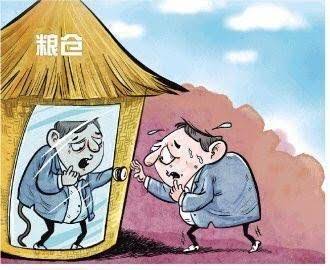 河南深化粮食购销领域腐败问题专项整治 “惩改治”协同守护中原粮仓 河南深化粮食购销领域腐败问题专项整治 “惩改治”协同守护中原粮仓