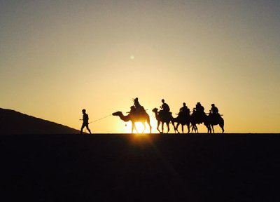 1687063441331085.jpg t0134575fa769ebbc66.jpg