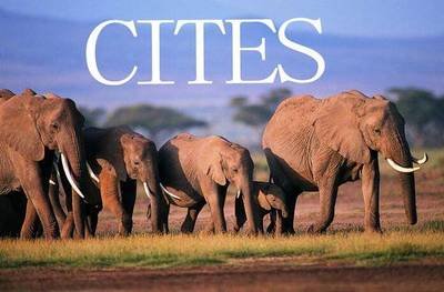 1687579971245552.jpg t010cdb386785b5f874.jpg