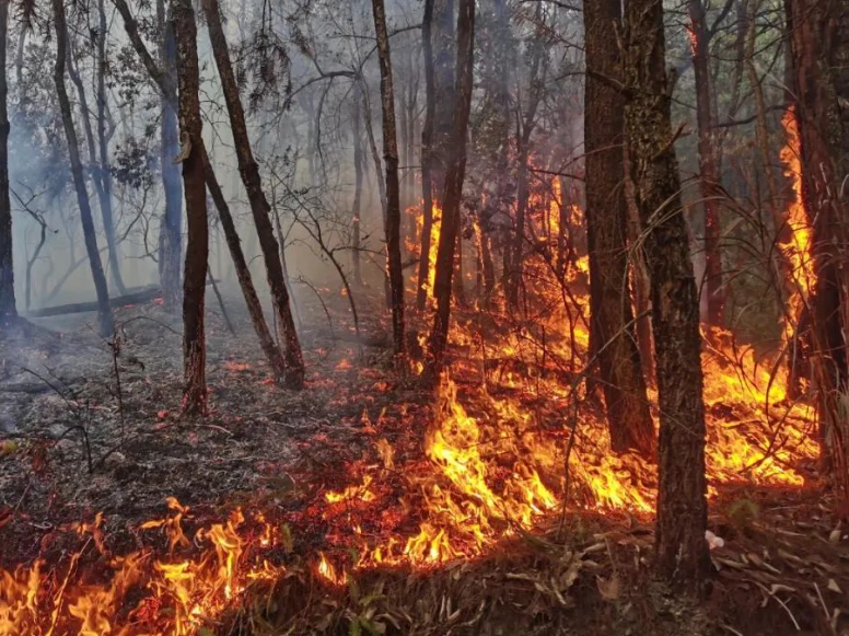 1692061165711962.png 6.png