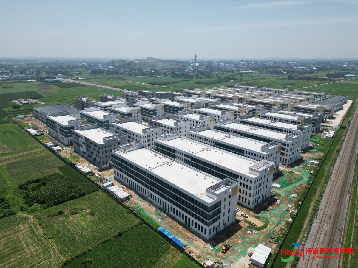 卧龙艾草产业园：扬帆起航打响“南阳艾”品