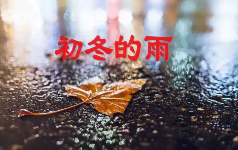 509ad60f8243fc0411484d51d9290ac8_ef031e1033a22b5deaaf96bf7dfea8e1.png