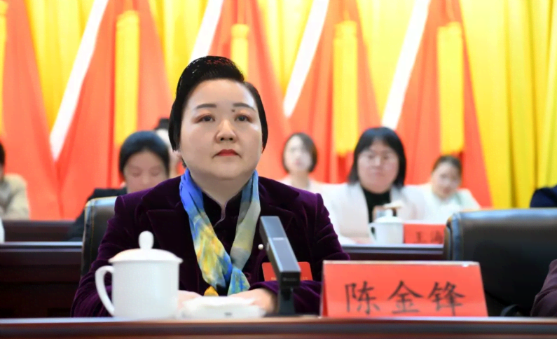 巾帼领航，情暖西峡：县妇联主席陈金锋的奉献之路