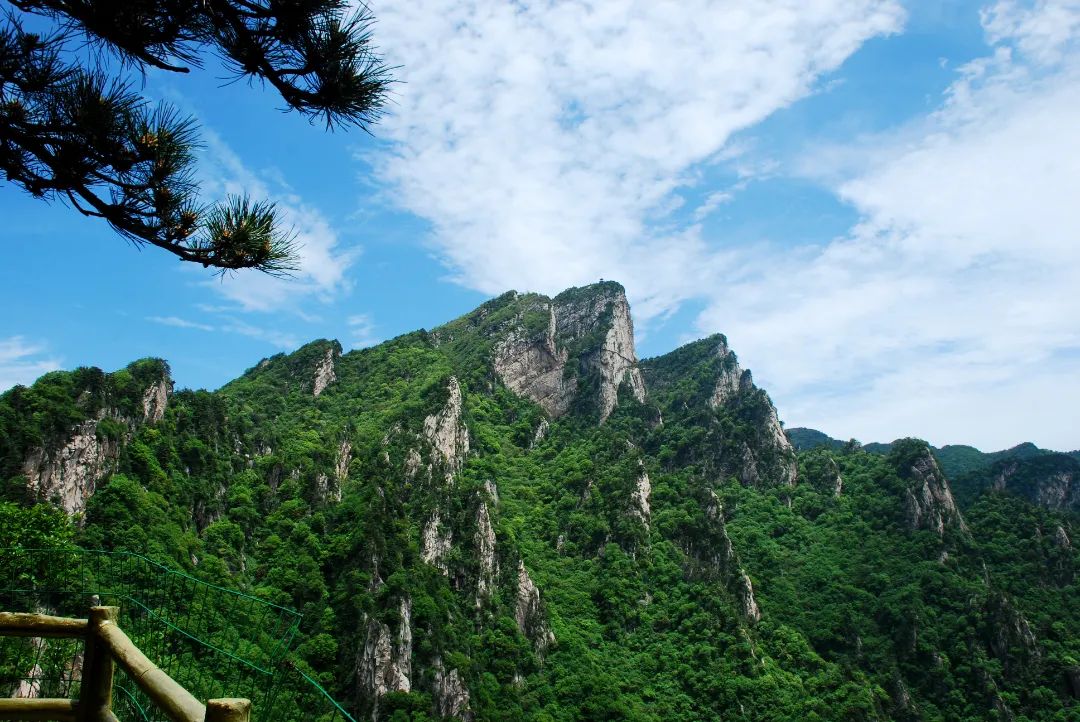 1753155269598033.jpg 1372-d1113e310821f02ef07ea1d9a0ba12c0.jpg