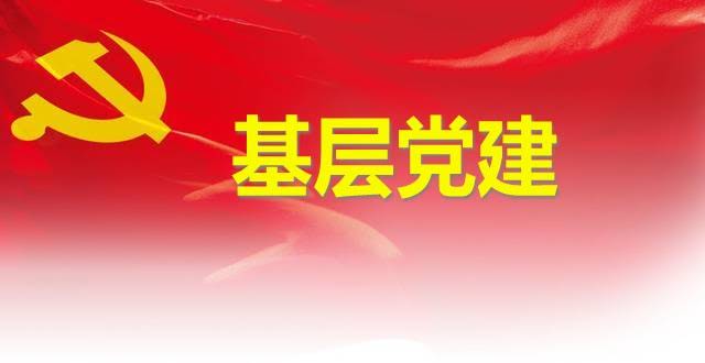西峡县公安局多措并举推动党建引领基层高效能治理走深走实
