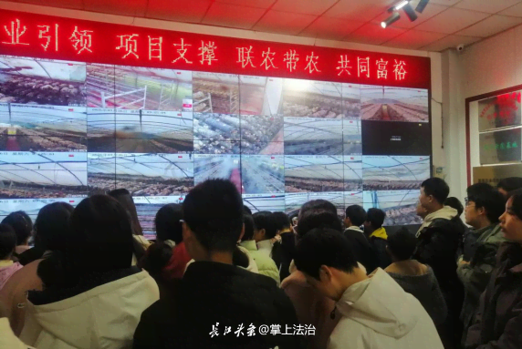 QQ图片20251105171132.png