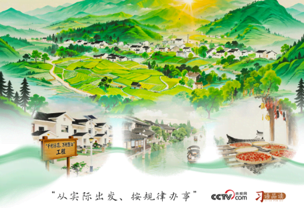 人民之心｜从实际出发、按规律办事