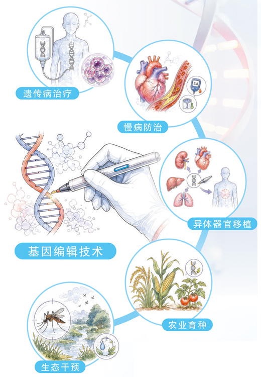 基因编辑，迈向精准医疗新阶段